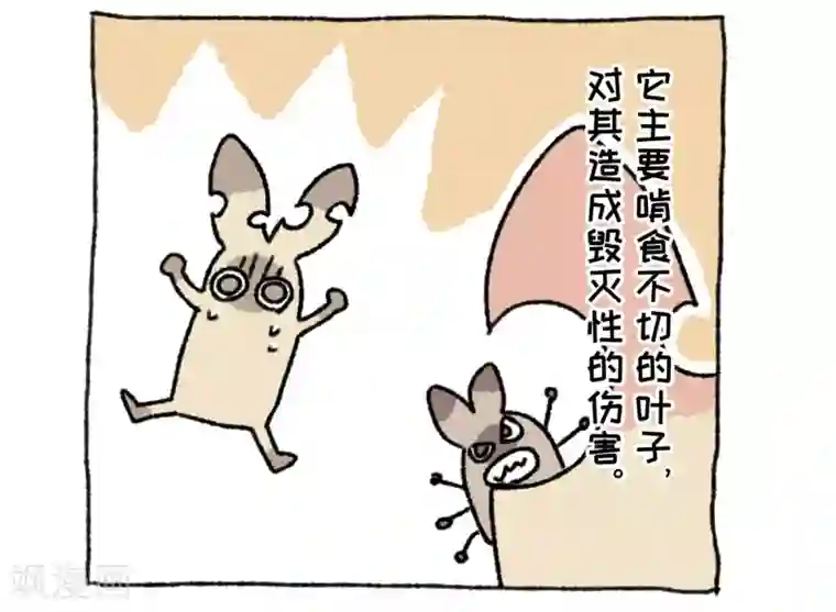 不切传说第36话 关于不切