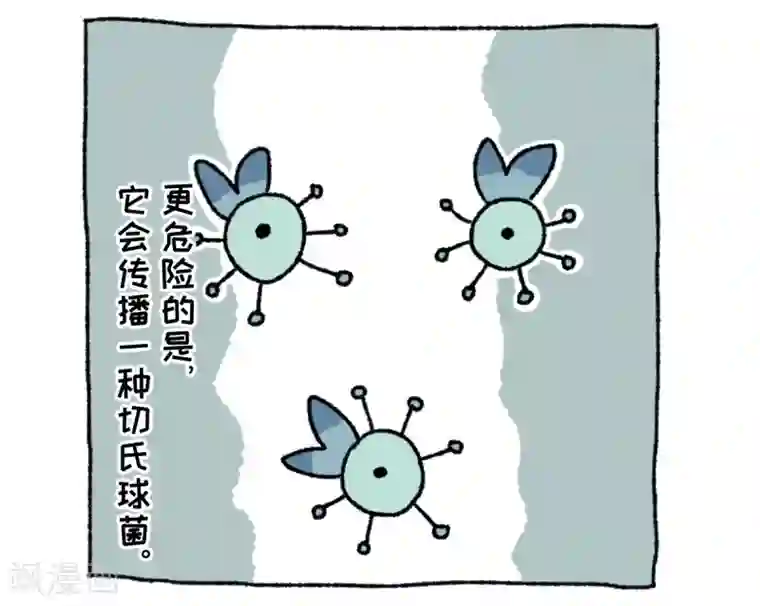 不切传说第36话 关于不切