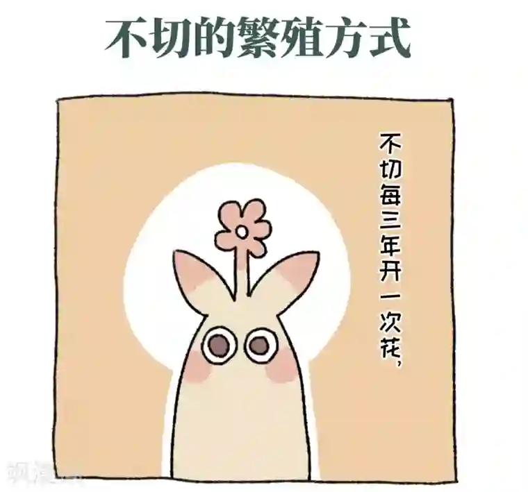 不切传说第36话 关于不切