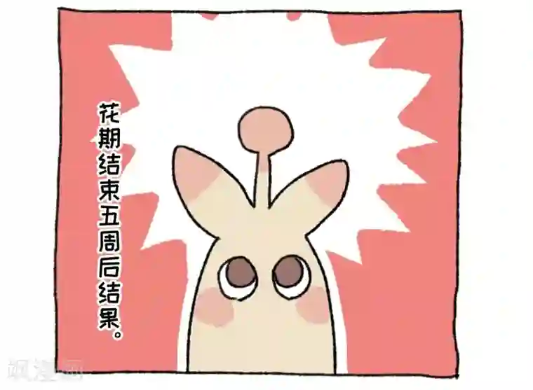 不切传说第36话 关于不切