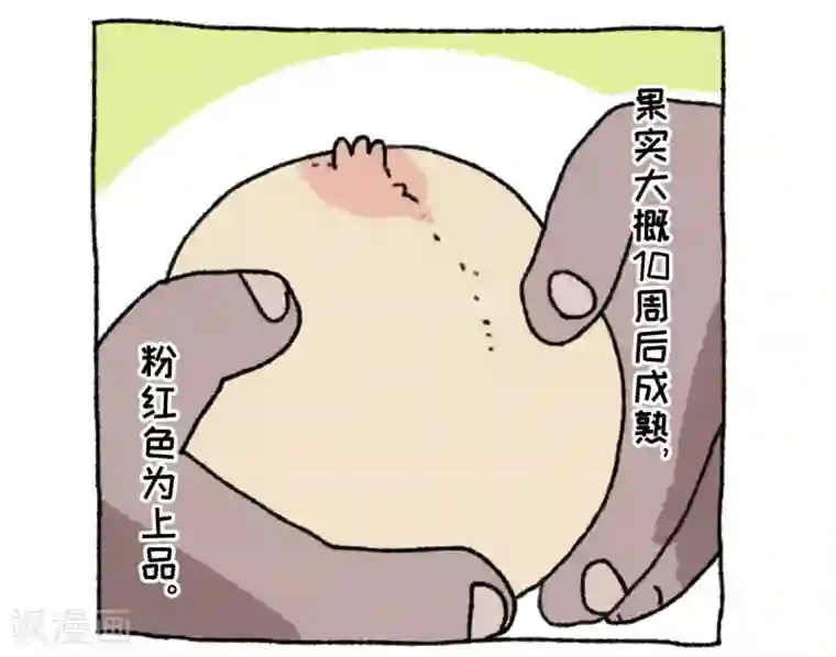 不切传说第36话 关于不切