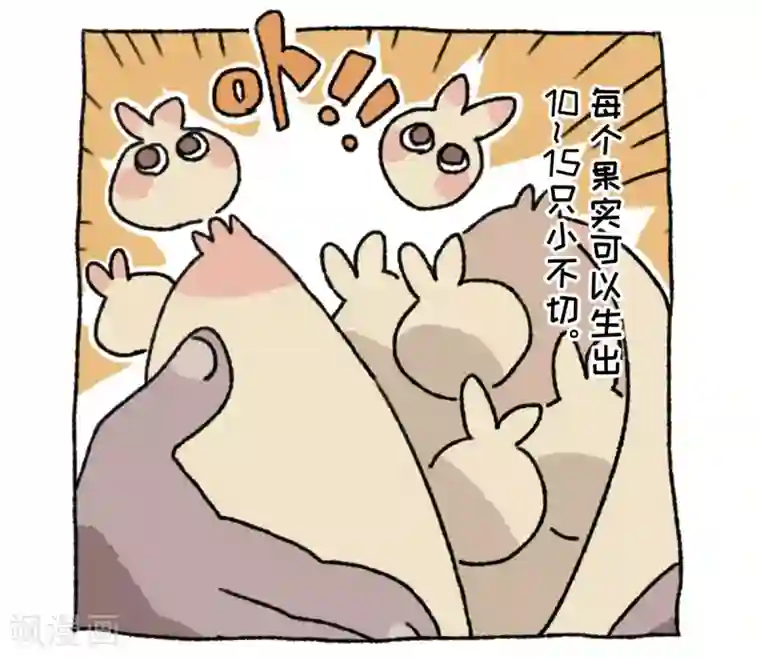不切传说第36话 关于不切