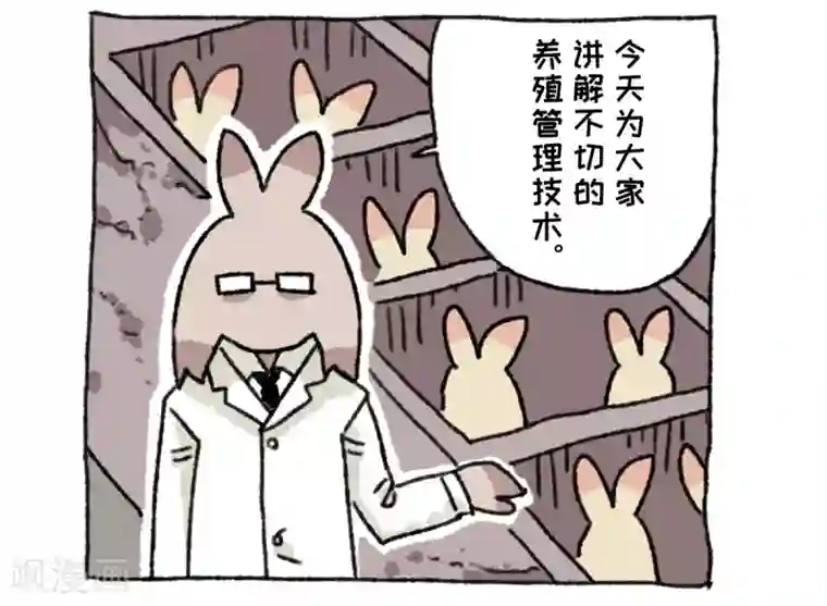 不切传说第36话 关于不切