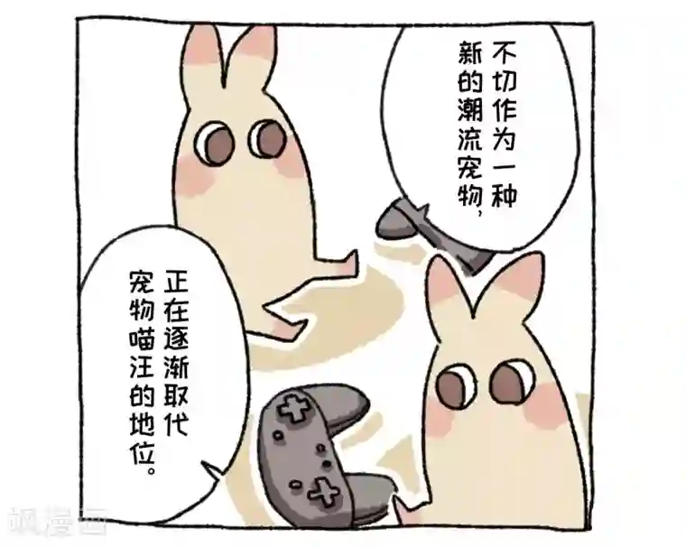 不切传说第36话 关于不切