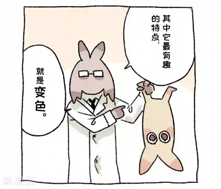 不切传说第36话 关于不切