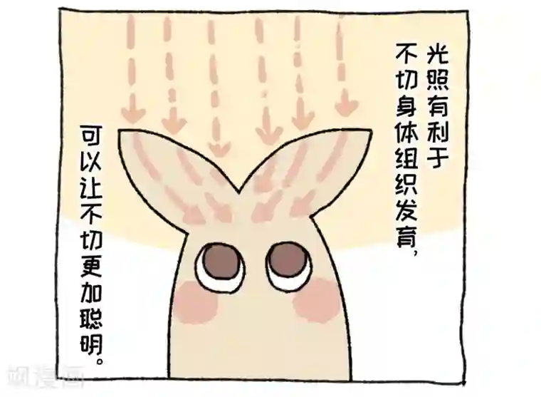 不切传说第36话 关于不切