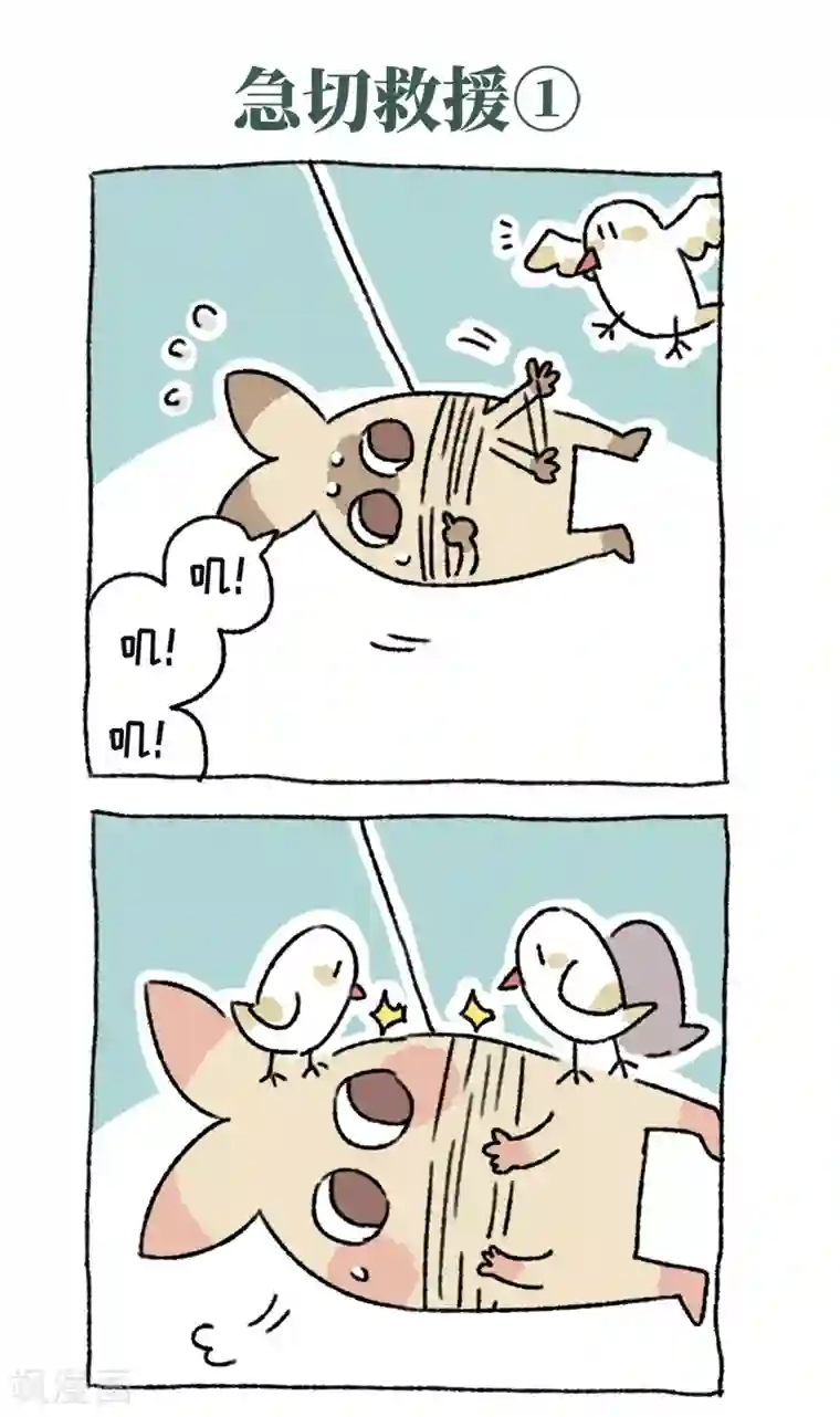 不切传说第41话 放风筝