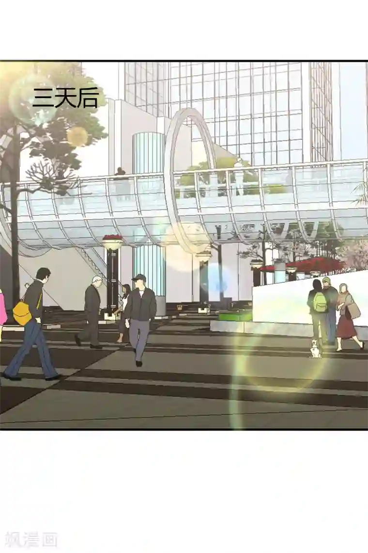 姻缘代理人第65话