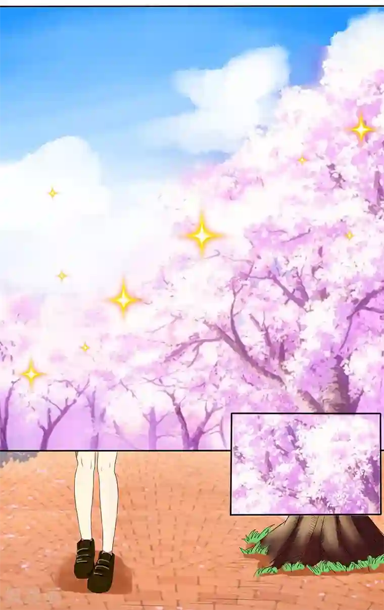 放开那个美男第24话