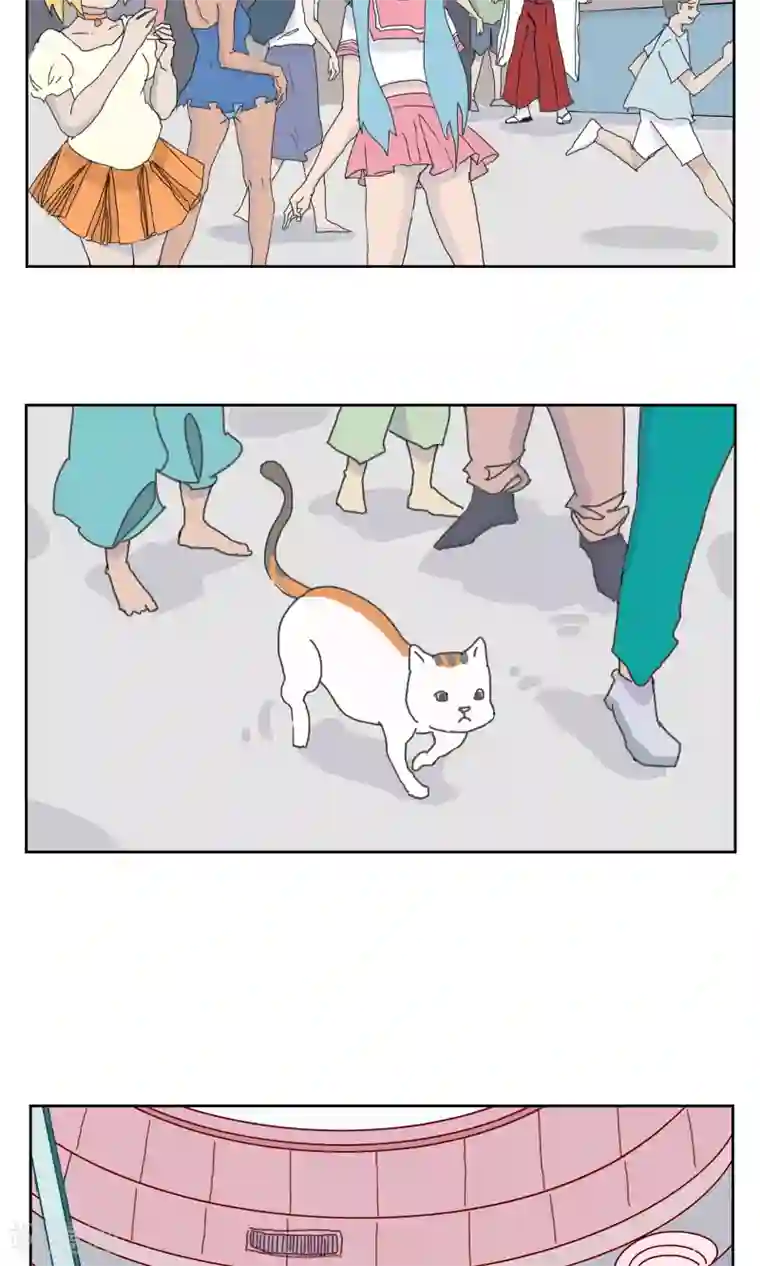 九条命第1话 三花篇(1)