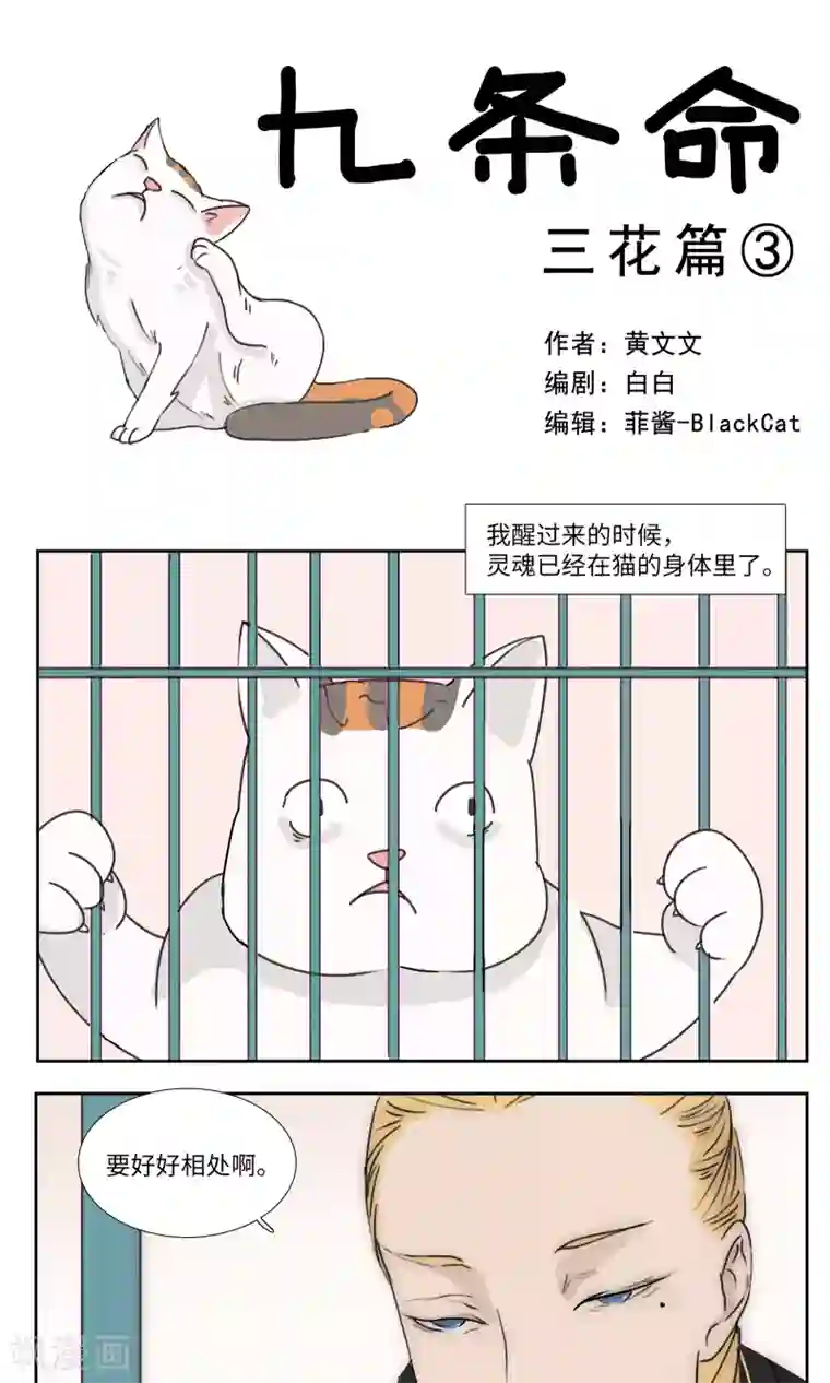 九条命第3话 三花篇(3)