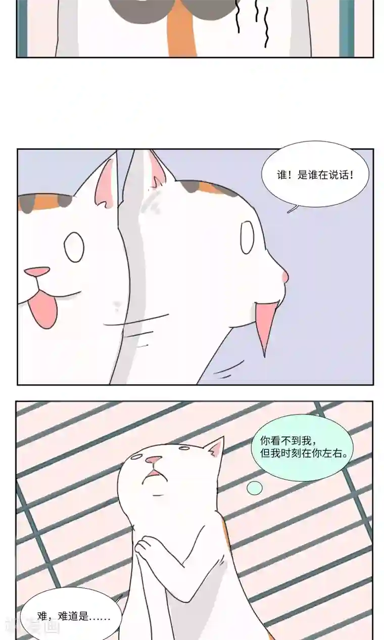 九条命第3话 三花篇(3)