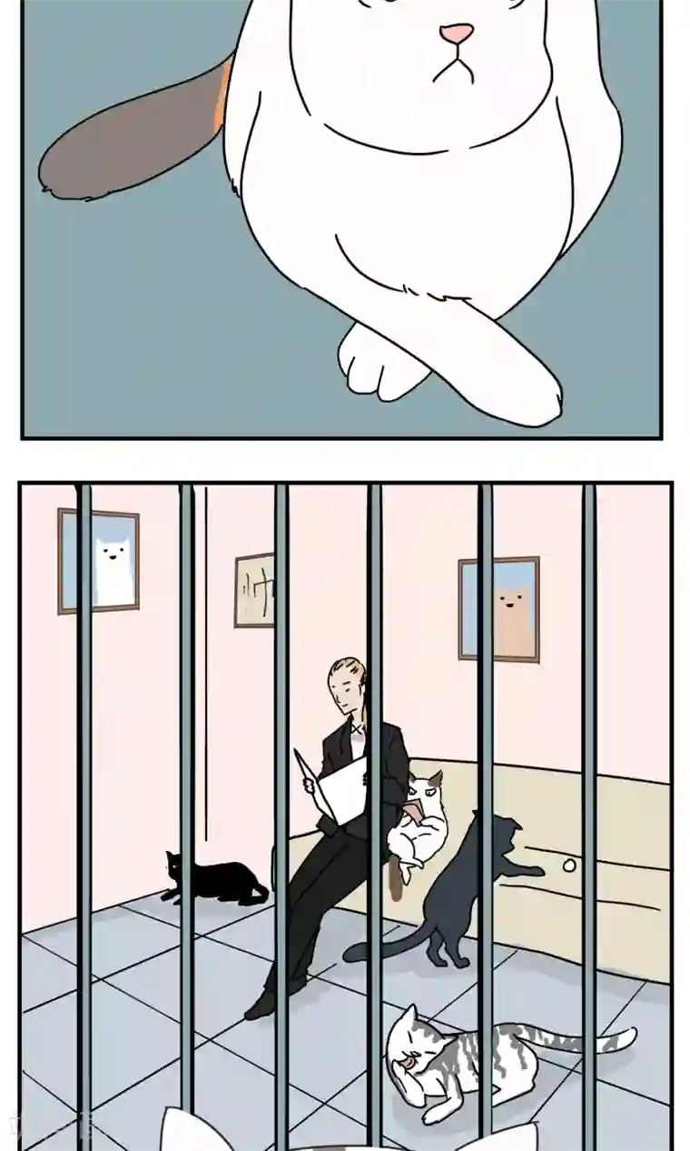 九条命第5话 三花篇(5)