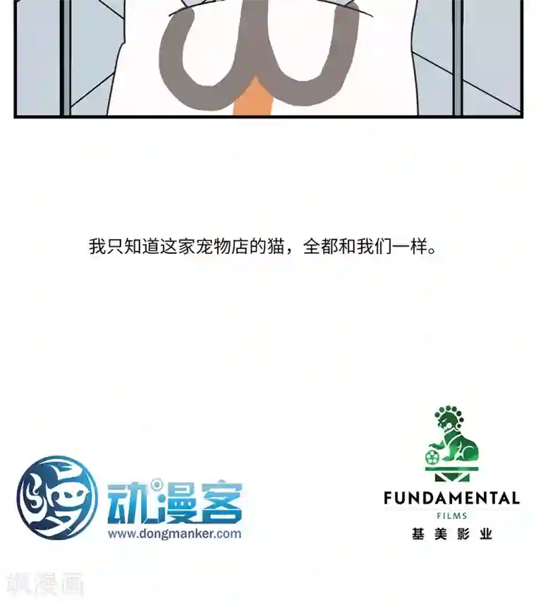 九条命第5话 三花篇(5)