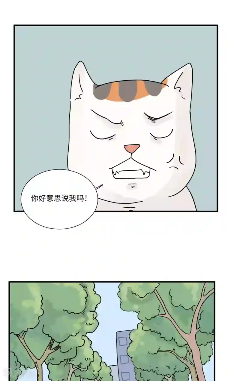 九条命第7话 三花篇(7)