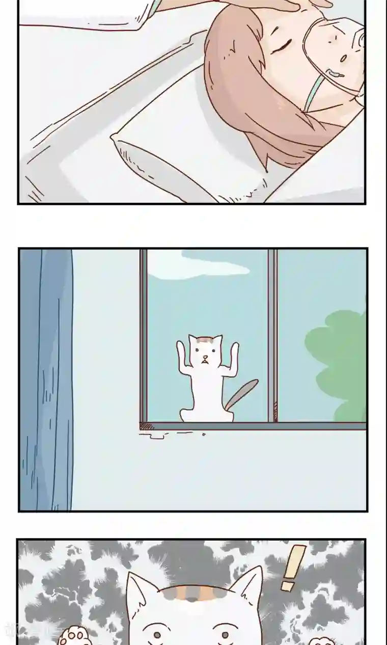 九条命第9话 三花篇(9)