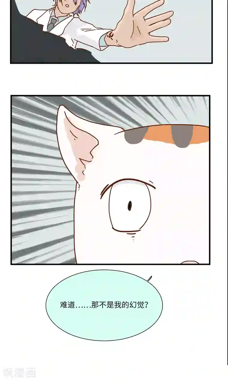 九条命第9话 三花篇(9)