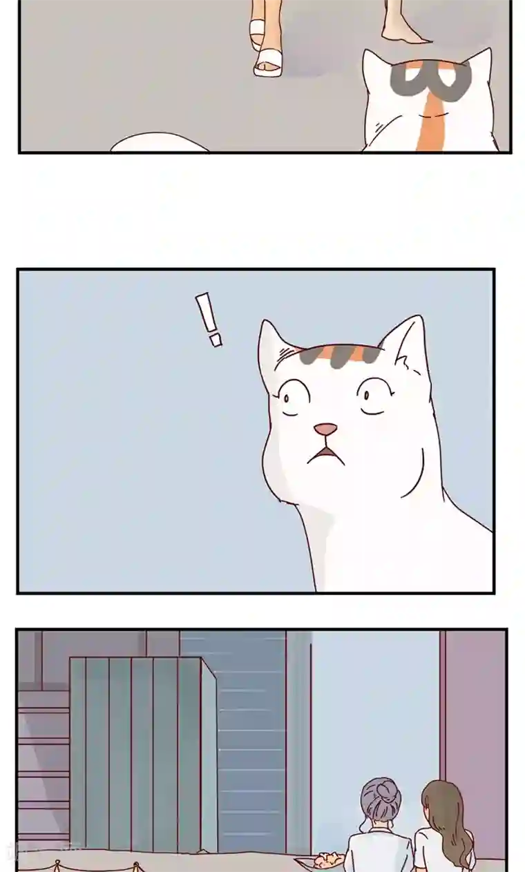 九条命第10话 三花篇(10)