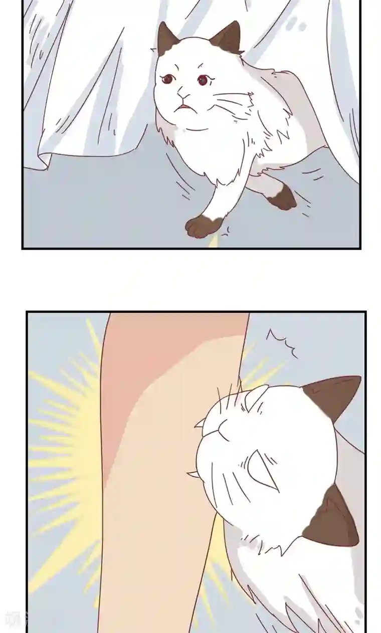 九条命第11话 三花篇(11)