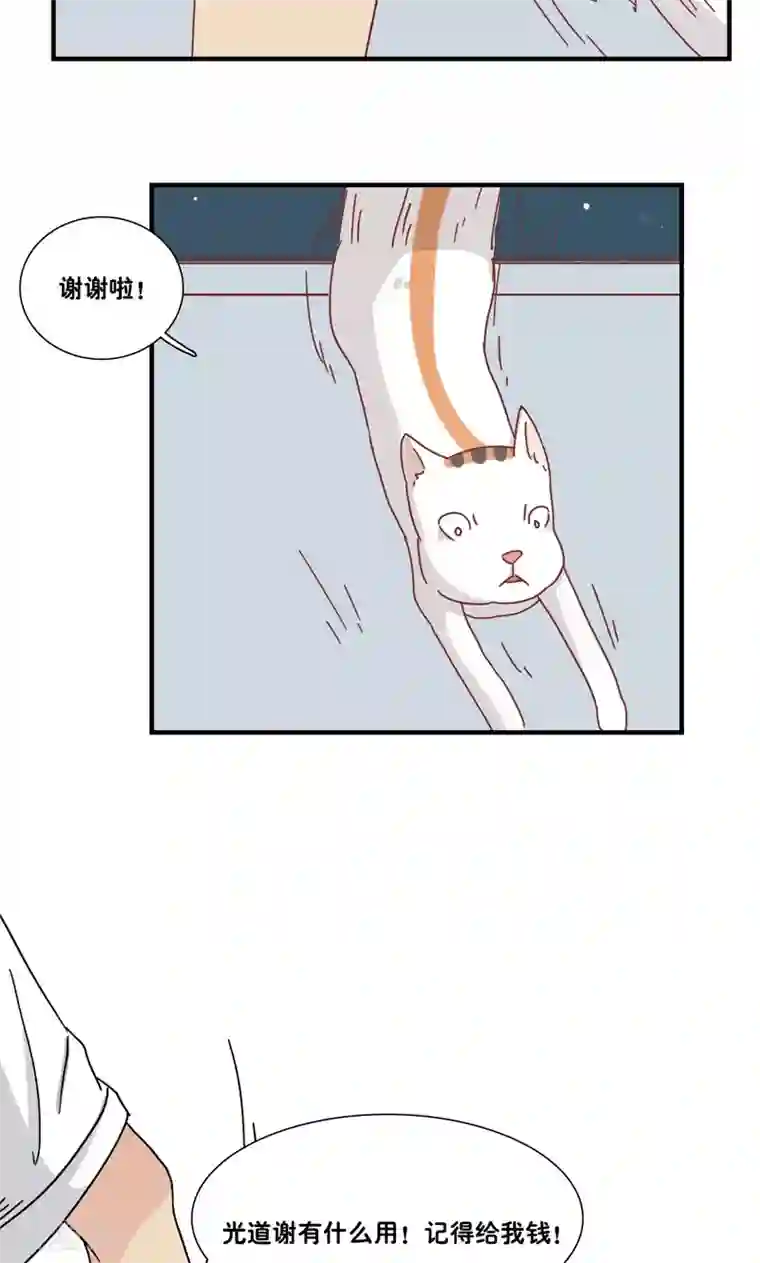 九条命第11话 三花篇(11)