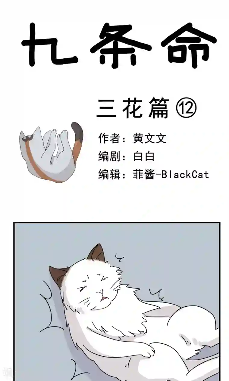 九条命第12话 三花篇(12)