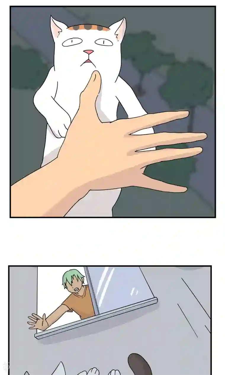 九条命第12话 三花篇(12)