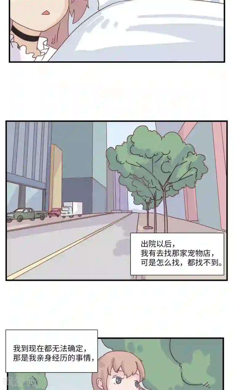 九条命最终话 三花篇(13)
