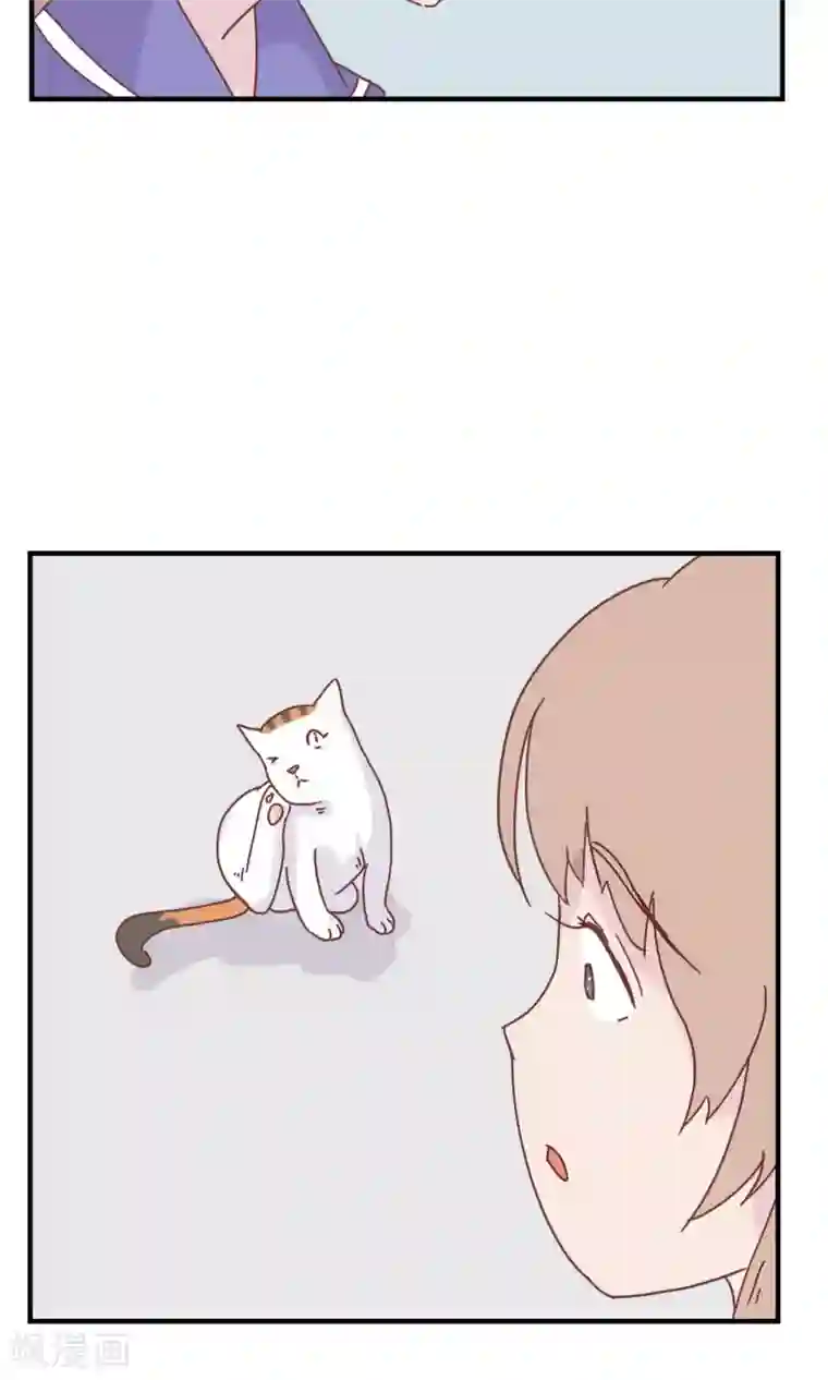 九条命最终话 三花篇(13)