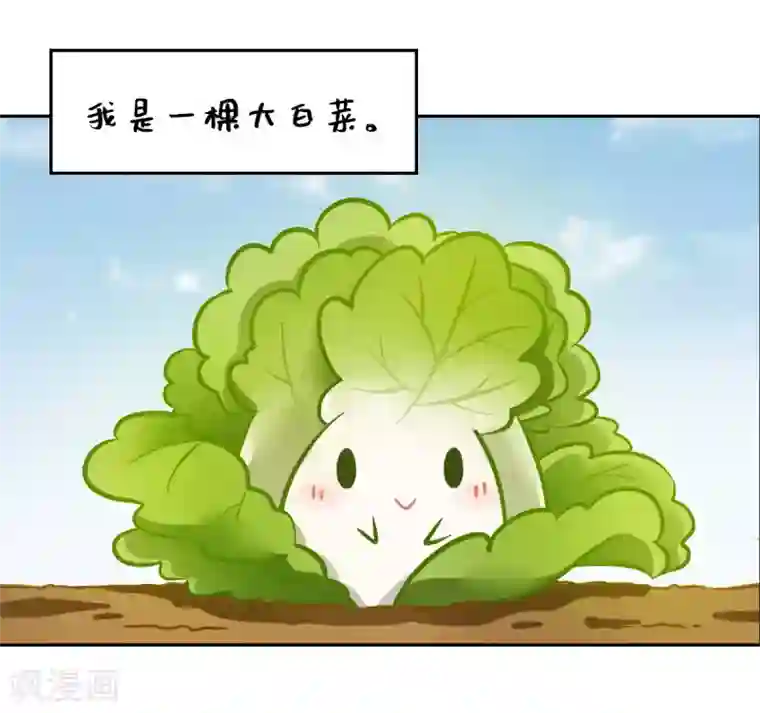 一棵白菜的动迁之旅全一话