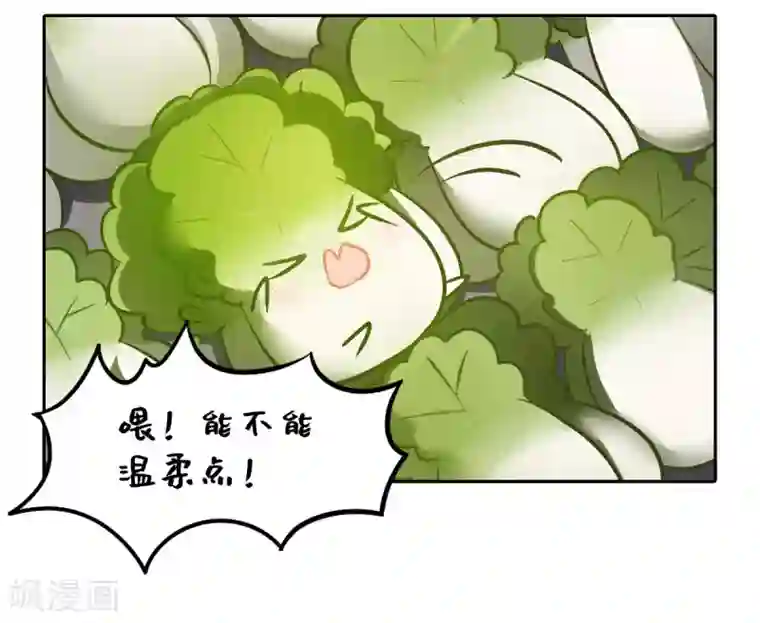 一棵白菜的动迁之旅全一话