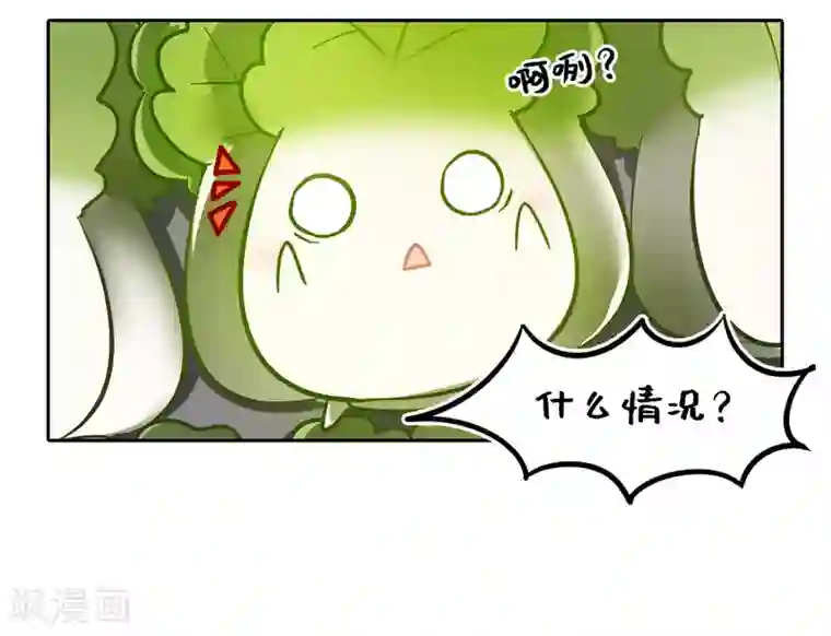 一棵白菜的动迁之旅全一话