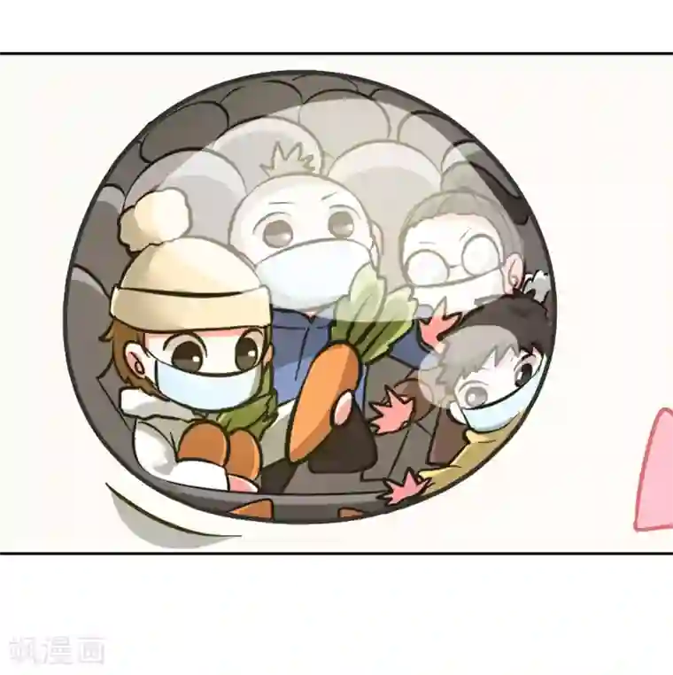 一棵白菜的动迁之旅全一话