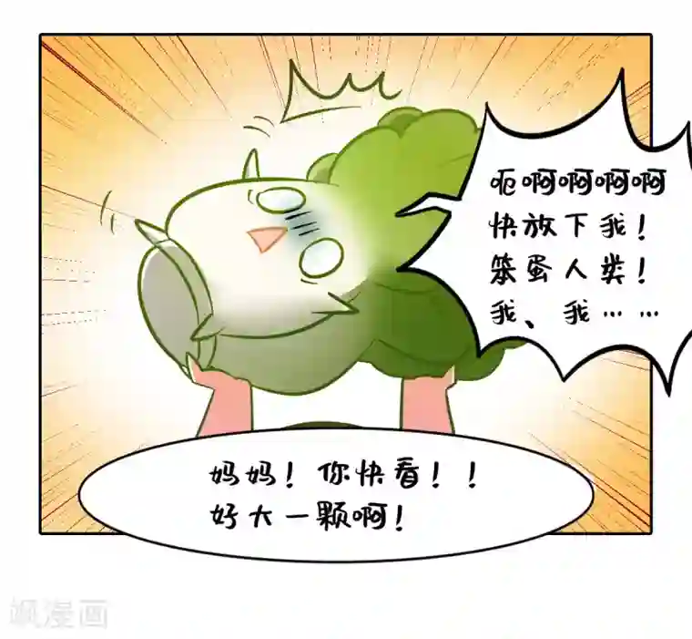 一棵白菜的动迁之旅全一话