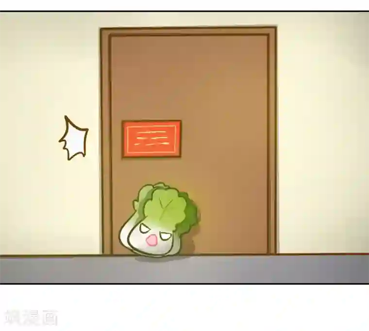 一棵白菜的动迁之旅全一话