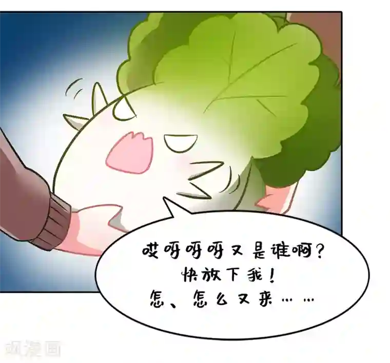 一棵白菜的动迁之旅全一话