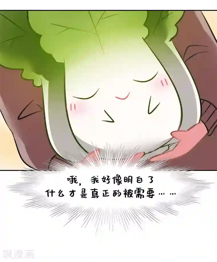 一棵白菜的动迁之旅全一话