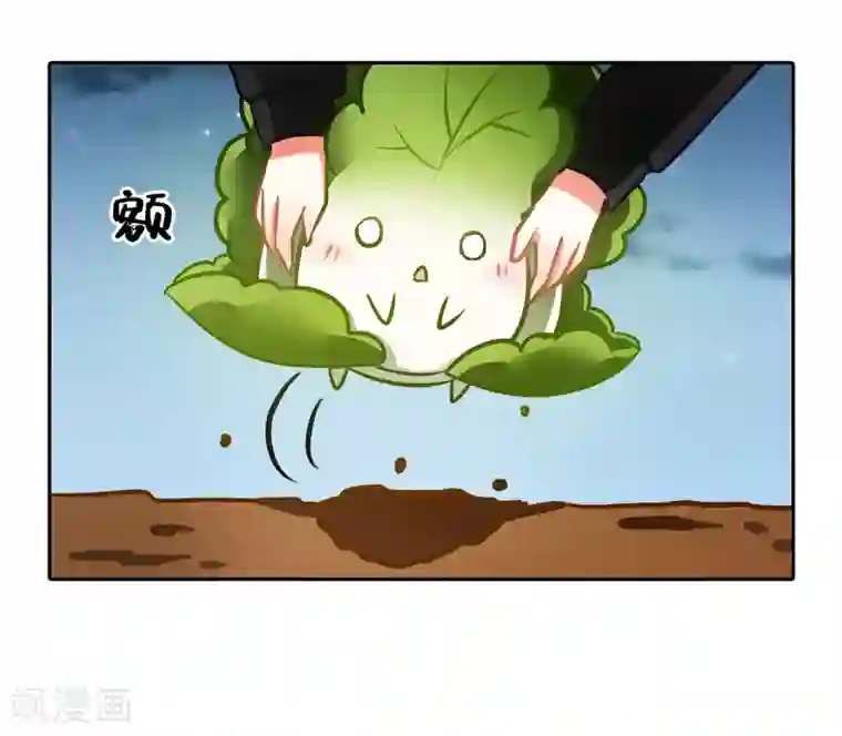 一棵白菜的动迁之旅全一话