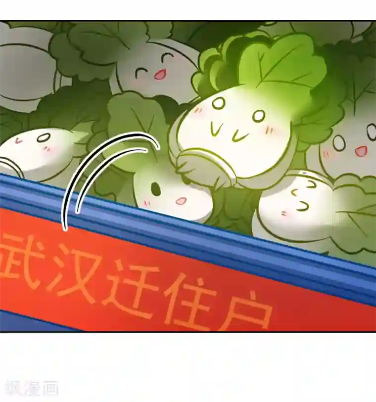 一棵白菜的动迁之旅全一话