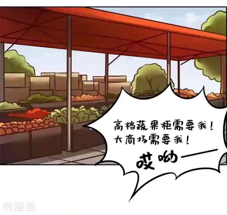 一棵白菜的动迁之旅全一话