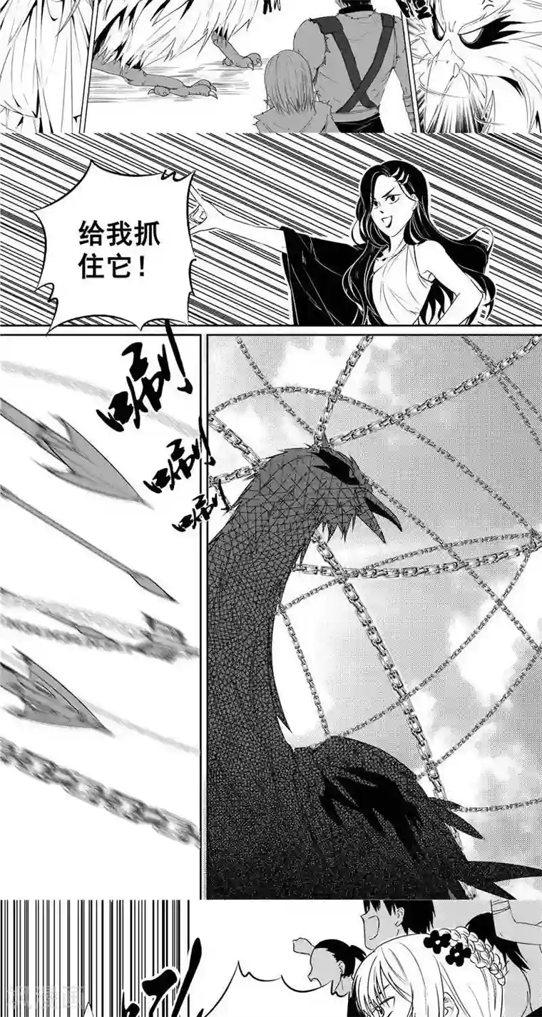 翼纪元第44话 夺鸟