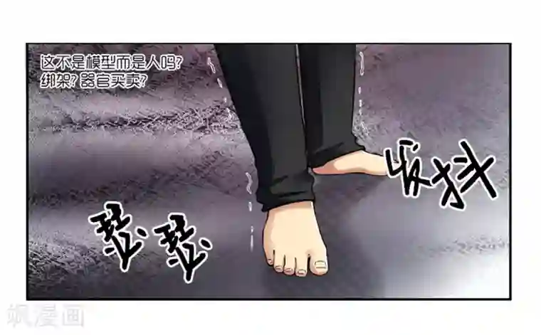 AMOROID第2话