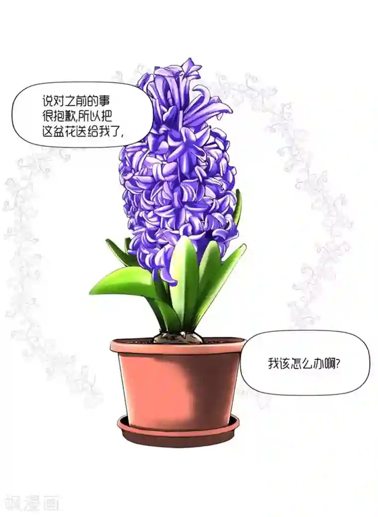 AMOROID第25话