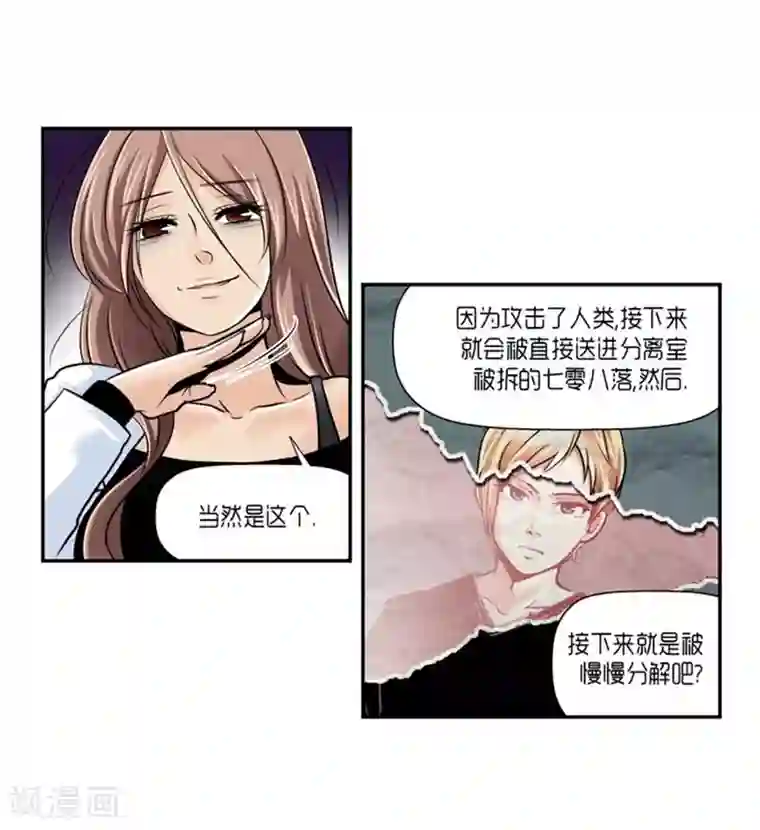 AMOROID第61话