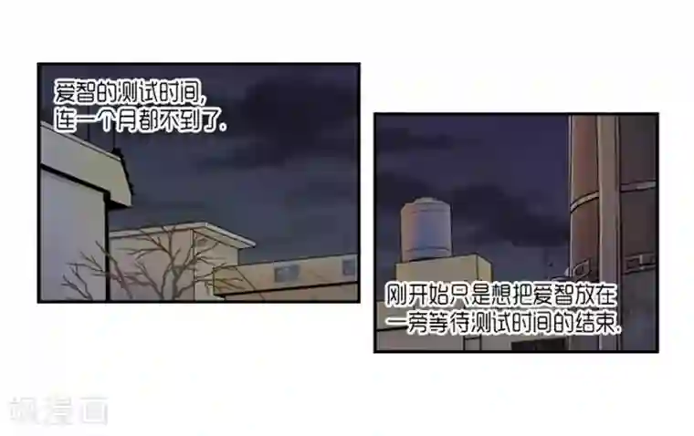 AMOROID第61话