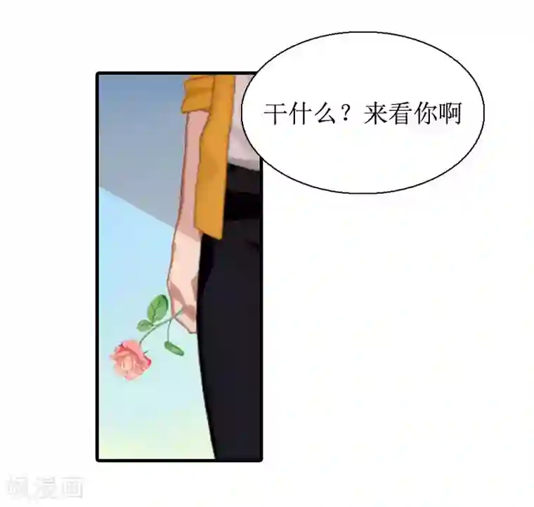 鲁智深林冲cp第7话 我要离婚！