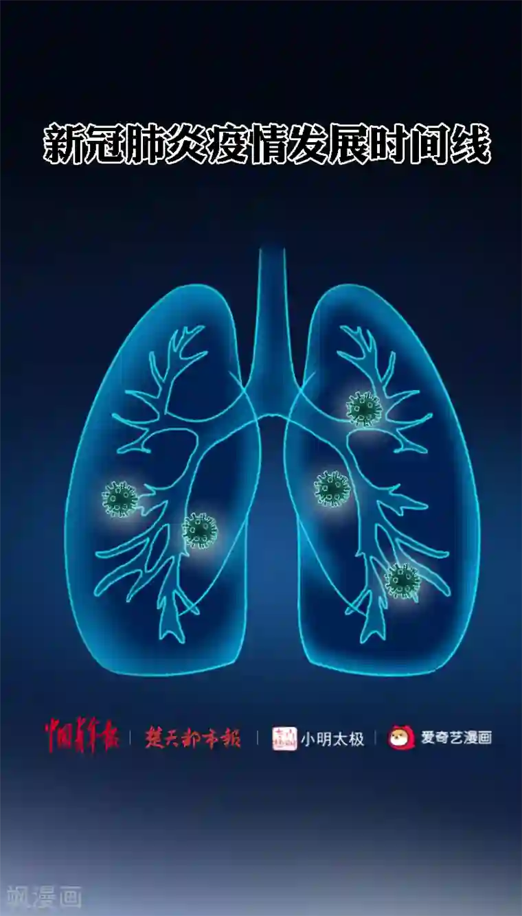 新冠肺炎疫情发展时间线全一话