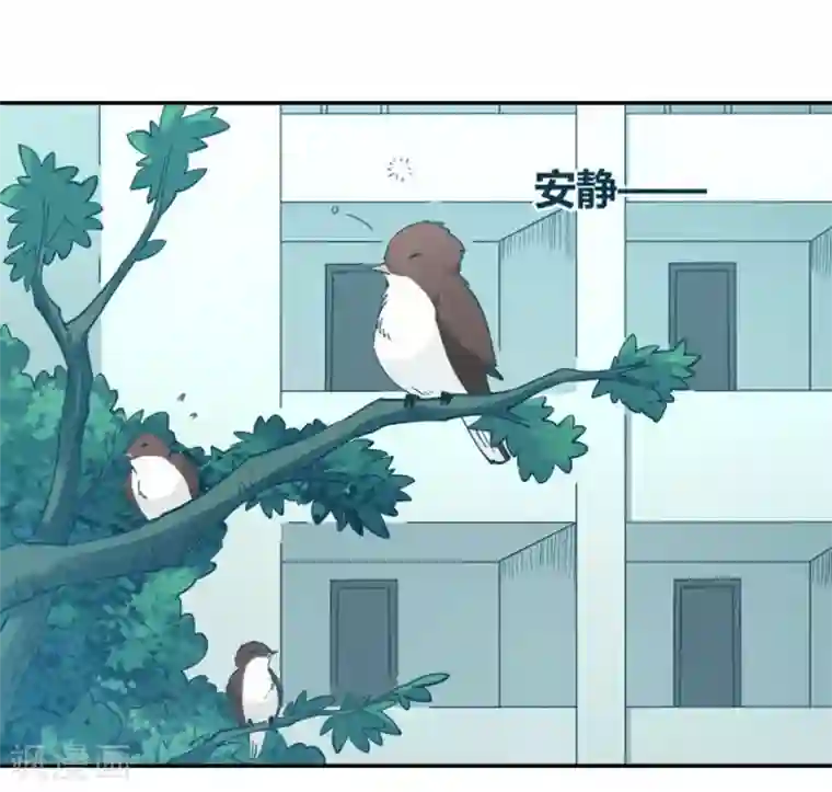 我是高富帅第98话