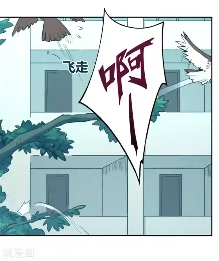 我是高富帅第98话