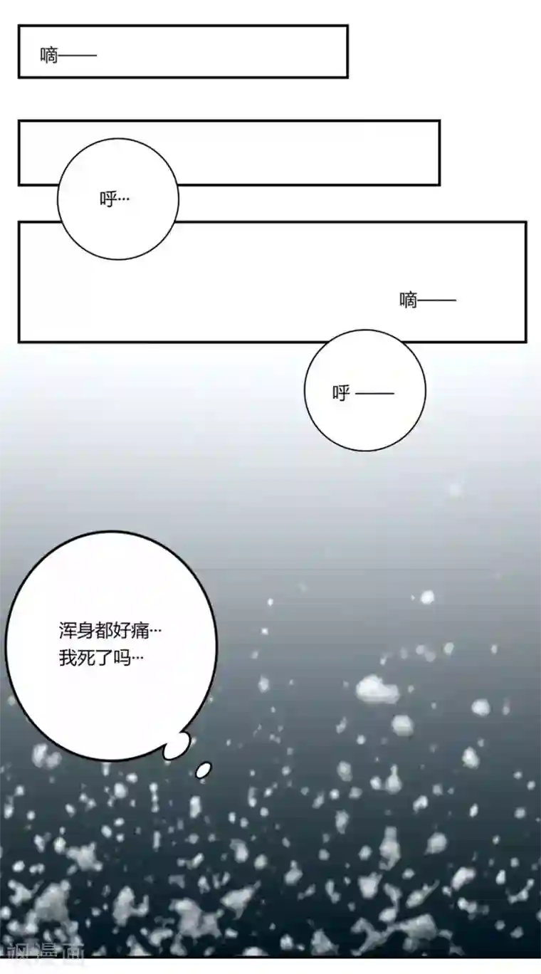 我是高富帅第166话