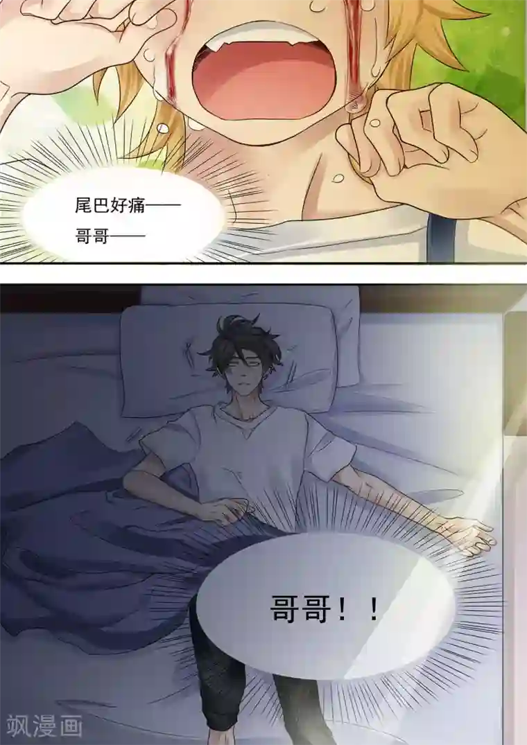 hi，我的名字叫镰第8话 熊尾